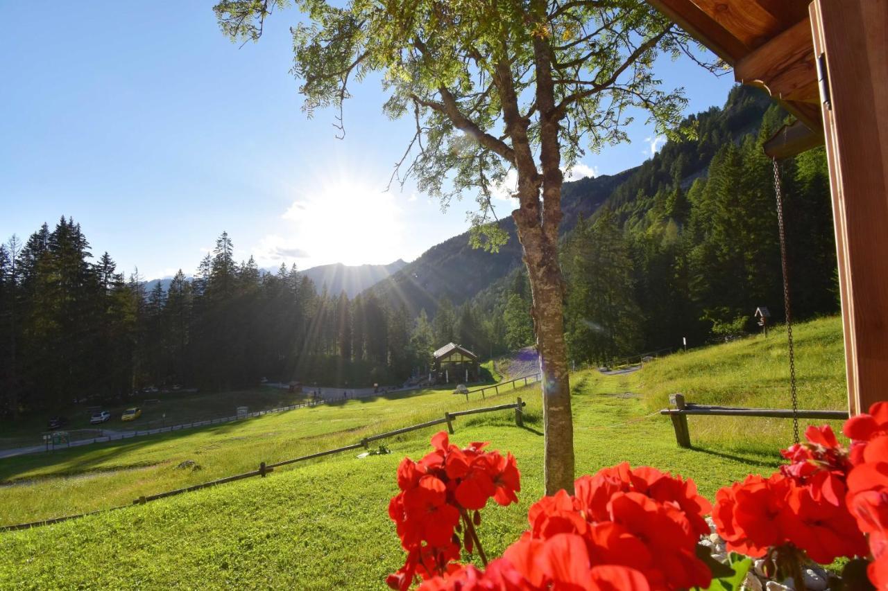 Chalet Brenta Dolomites Madonna Eksteriør billede