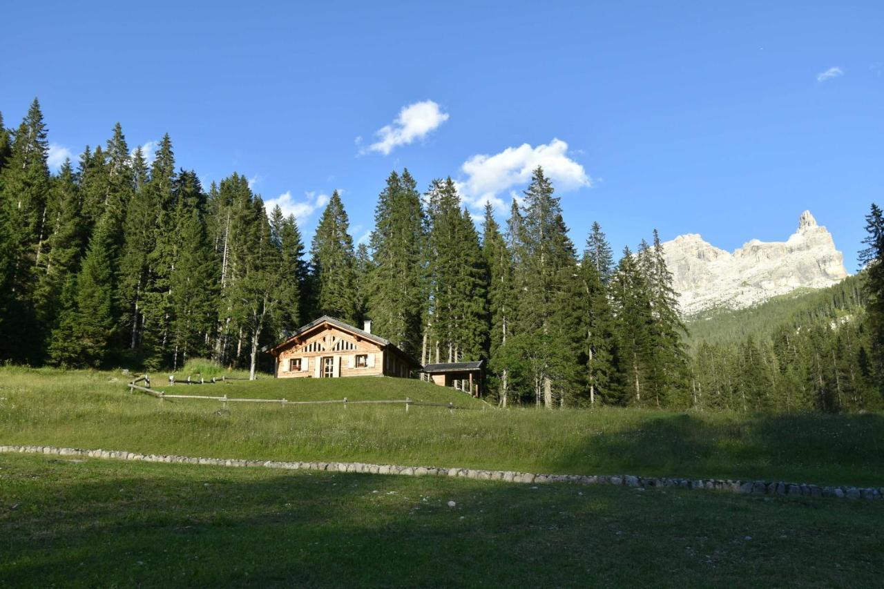 Chalet Brenta Dolomites Madonna Eksteriør billede