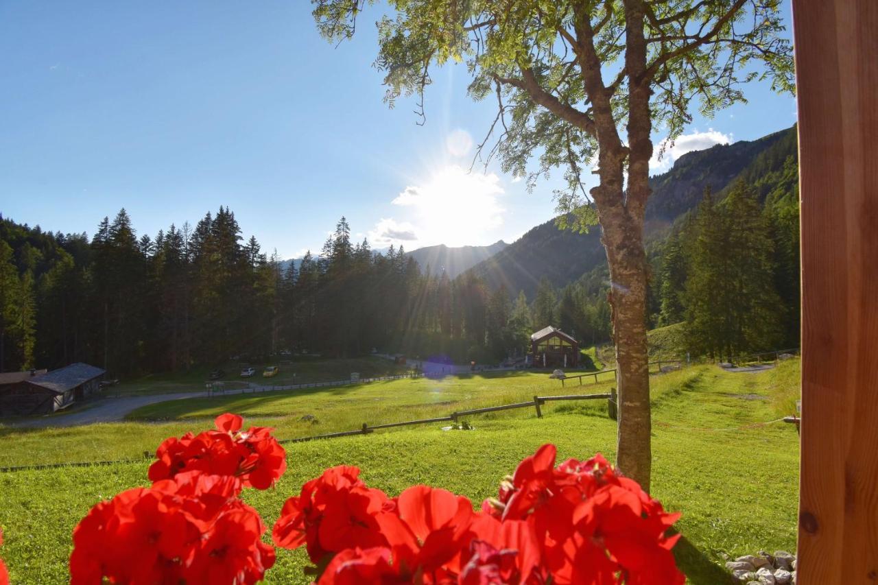 Chalet Brenta Dolomites Madonna Eksteriør billede